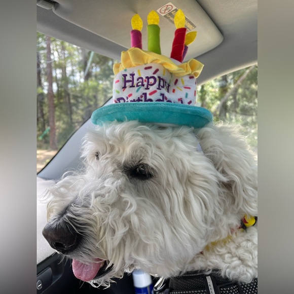 Meet The Vice President π - Picture 4 of 17